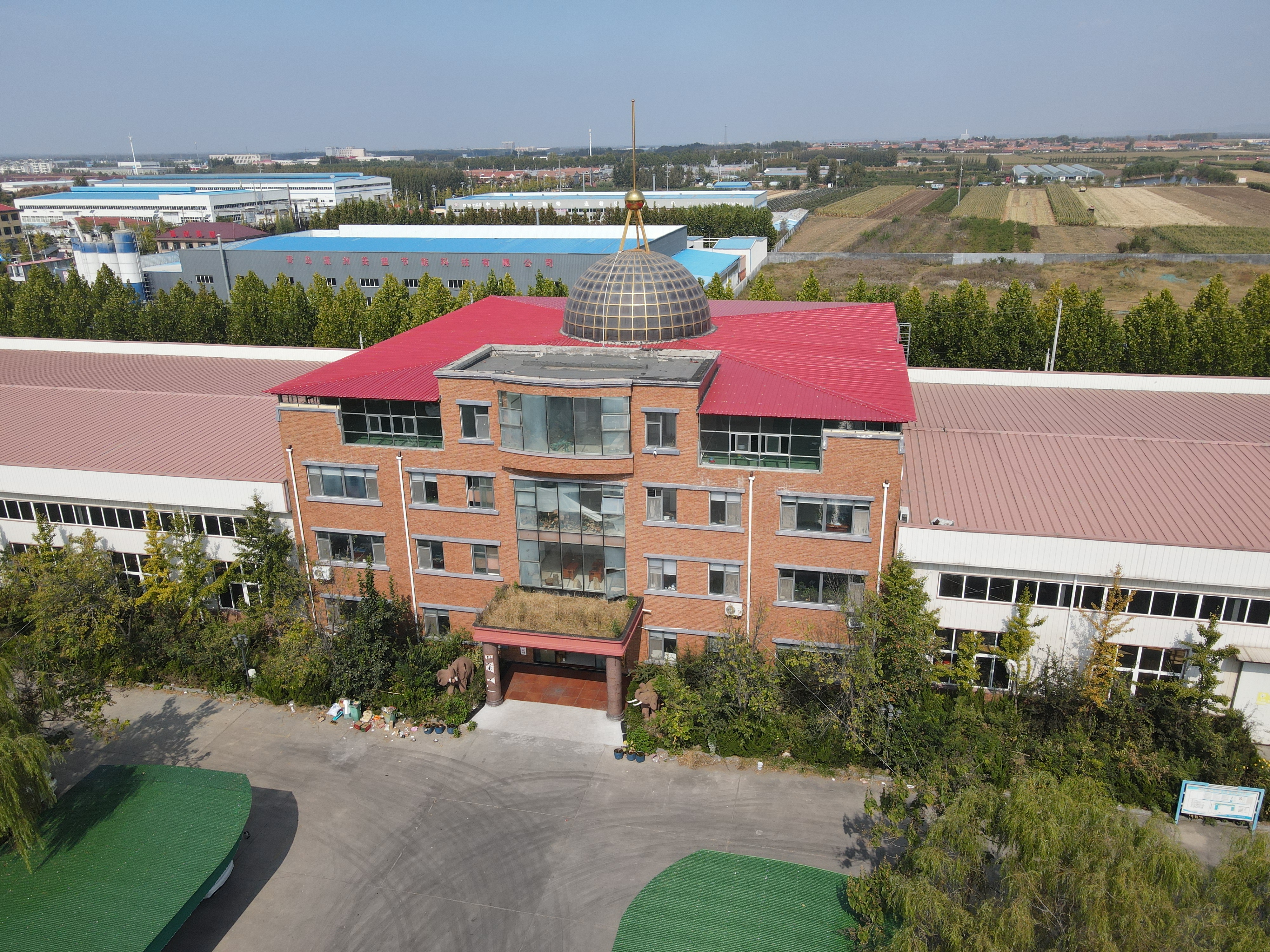 Copy the document to the site background, how can I clear the format